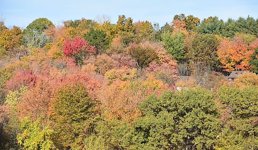 Fall Colors in Bethlehem, Connecticut