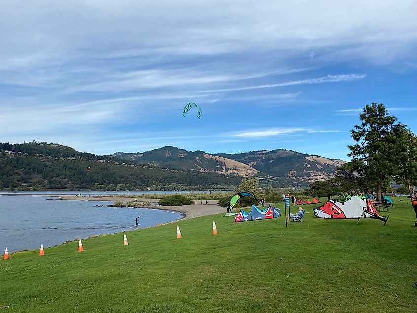 A kitesurfer comes back to shore, joining several others with their colorful kites and boards.