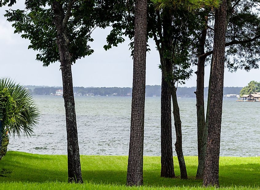 A view through trees of Lake Conroe in Texas