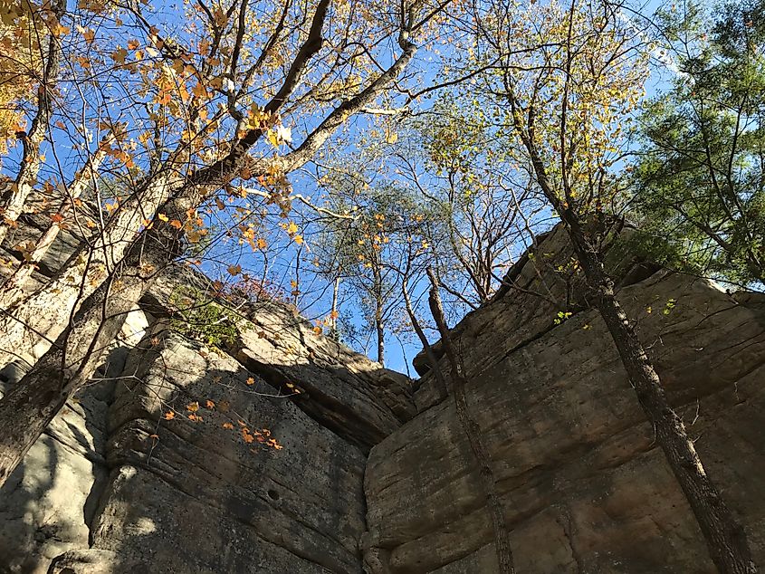 New River Gorge in West Virginia repelling and rock climbing.