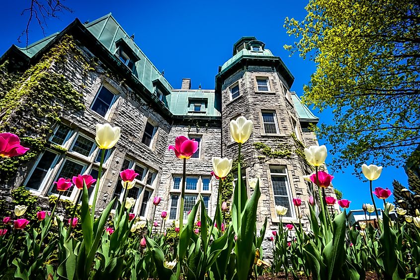 White and pink spring tulip in front of the Saint-Hyacinthe City Hall (Francois Lariviere via Shutterstock)