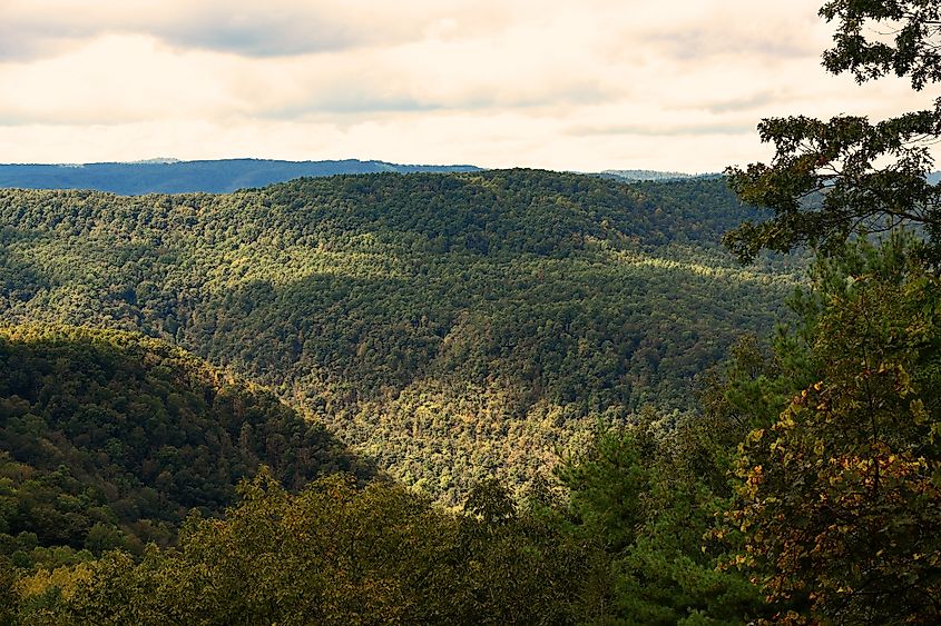 The mountainous landscape around Bluefield, West Virginia.