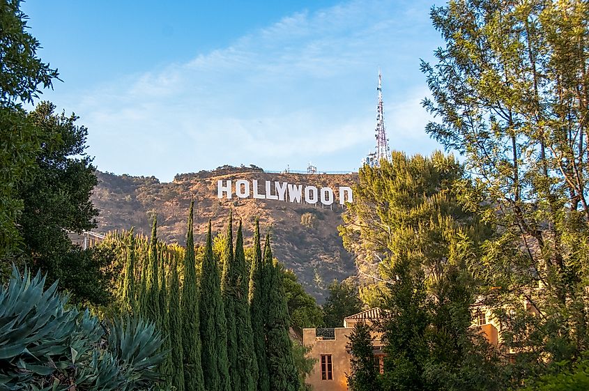 Los angeles Hollywood