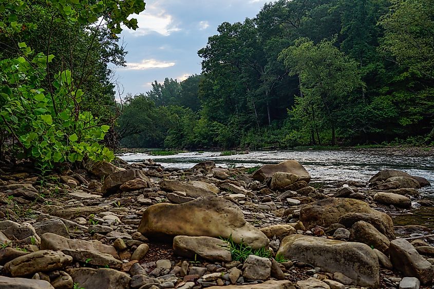 Rocky River Bank On Mulberry River in Oark, Arkansas