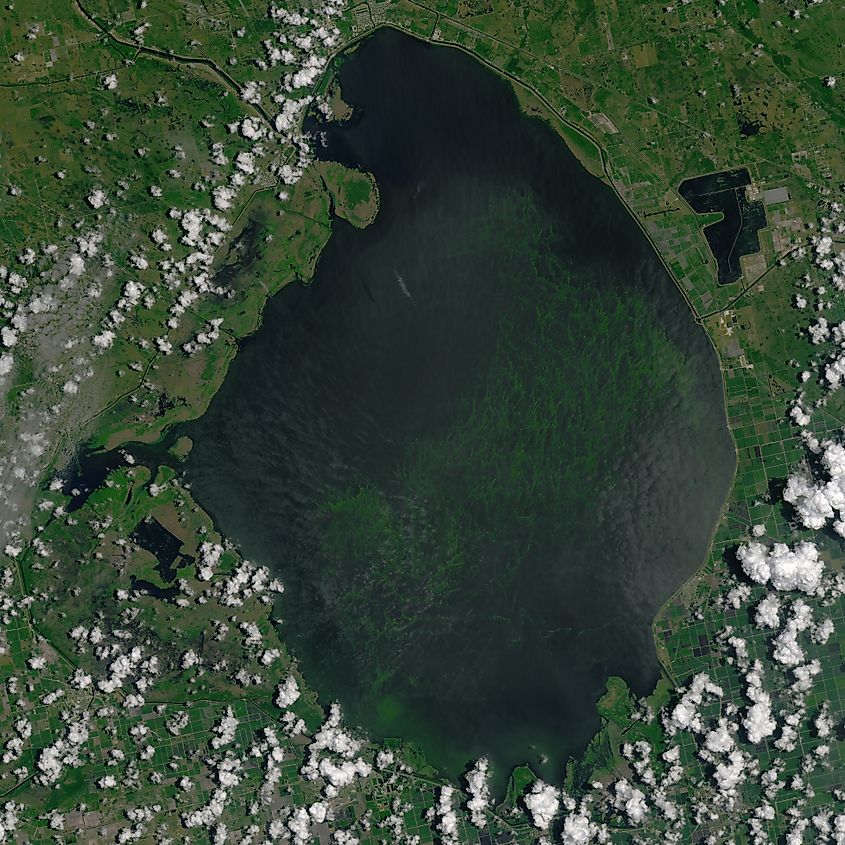 Lake Okeechobee from space.