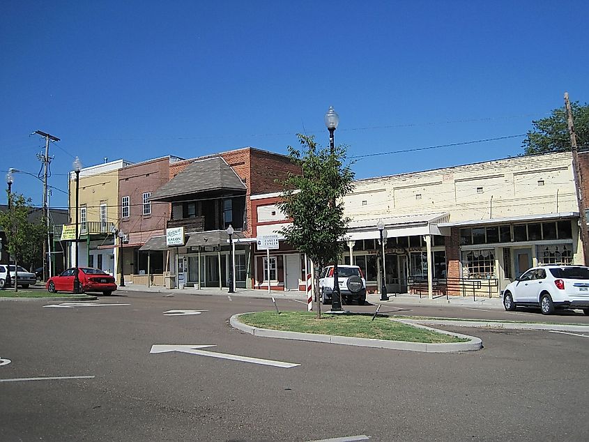 Businesses lined along a street in Downtown Camden, Tennessee. 