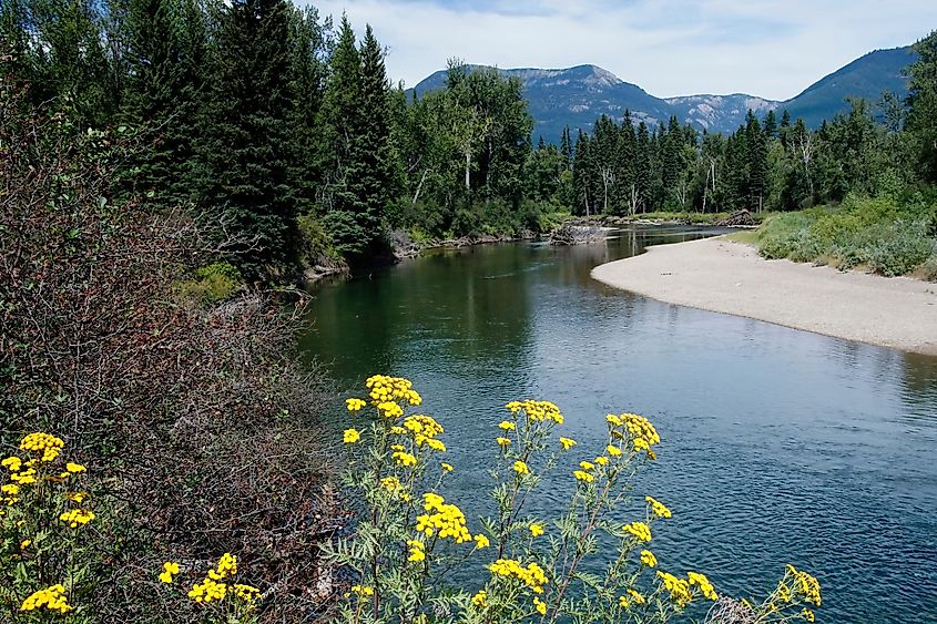 The beautiful view of Swan River surrounded by green vegetation Montana