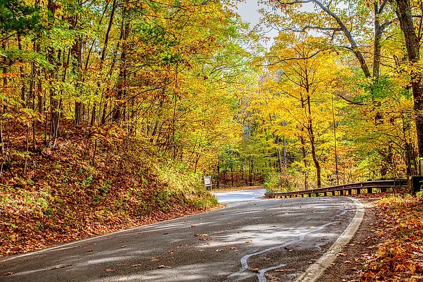 Tunnel of Trees near Harbor Springs, Michigan.