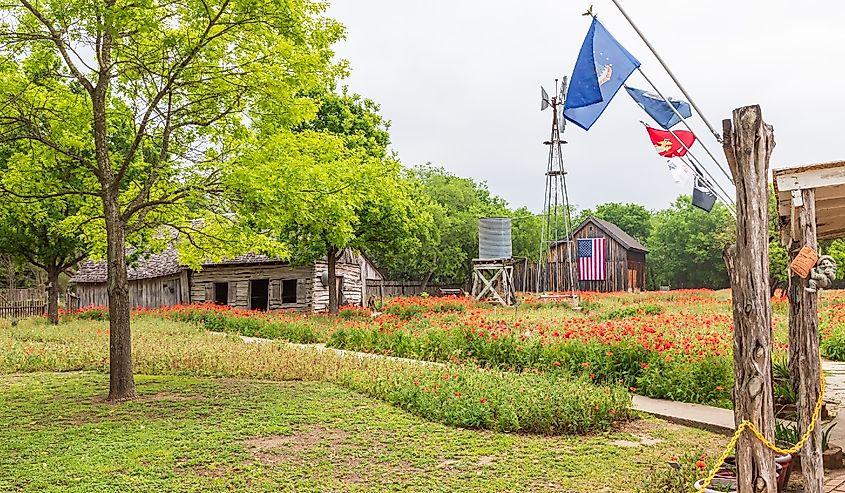 Castroville, Texas, poppies and historic buildings in the Texas Hill Country.
