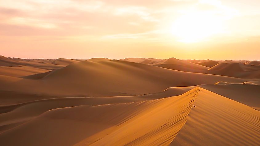 Amazing desert sunset. Beautiful Arabian desert with warm colors. Colorful contours of sand dunes at Abu Dhabi.