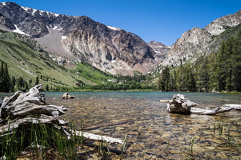 Parker Lake, an alpine lake with turquoise colored water and logs, on a sunny summer day, located along the June Lake Loop in California's Eastern Sierra mountain range