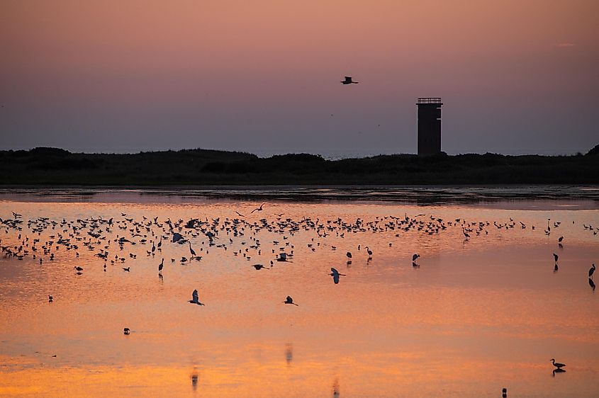 Gordons Pond, Delaware