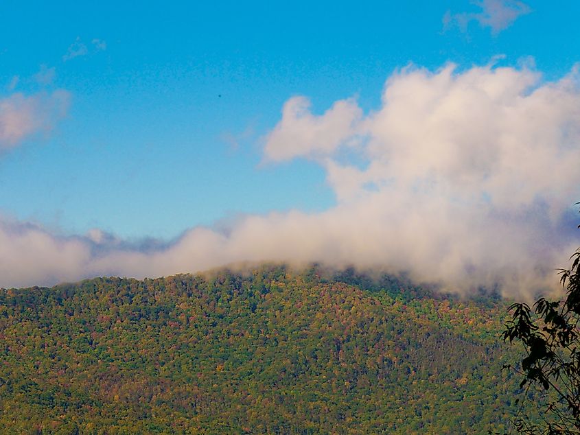 Nantahala National Forest