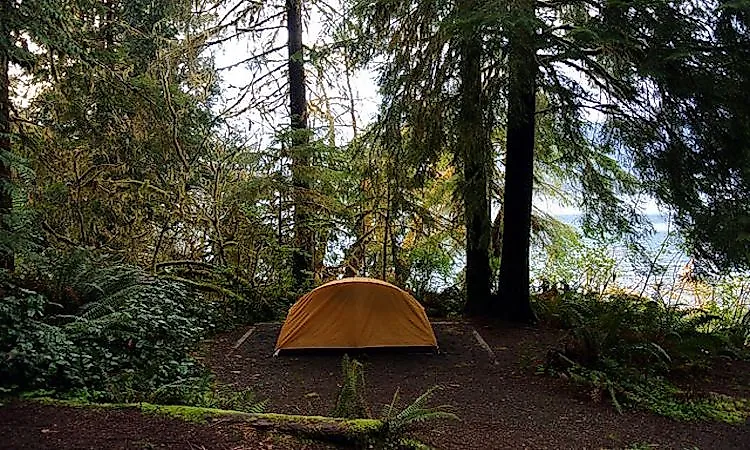 Camping site on the shores of Lake Quinault, Olympic National Park.