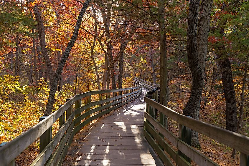 Wooden walkway through Autumn landscape at Starved Rock State Park in Illinois.
