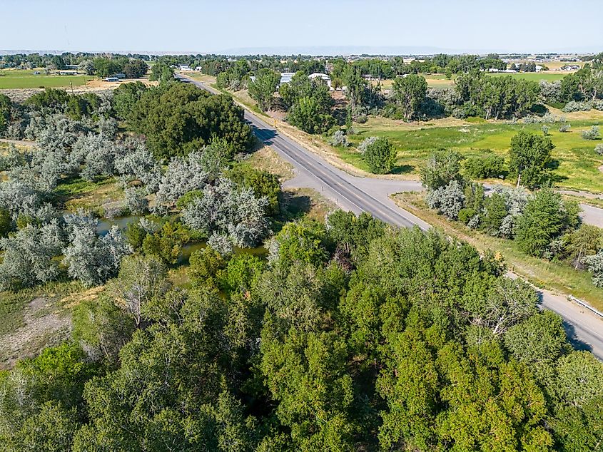 Highway road in rural countryside in Powell, Wyoming, hidden behind bright green trees on a summer day from aerial drone
