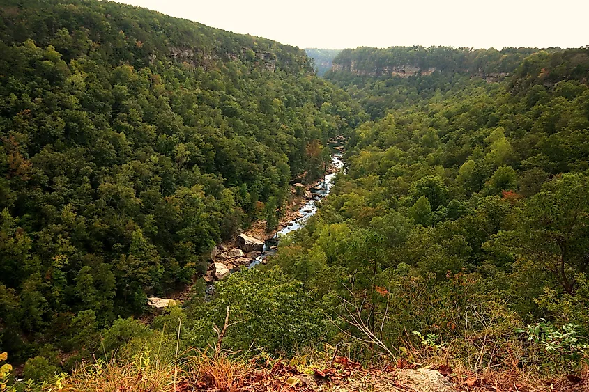 Little River Canyon in Fort Payne, Alabama.