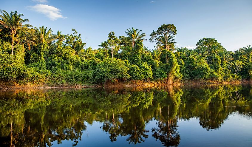 Вид на реку Суринам в Верхнем Суринаме, лагерь в джунглях Аваррадам
