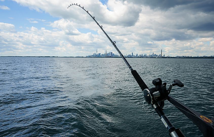 Fishing in Lake Ontario with Toronto in the background