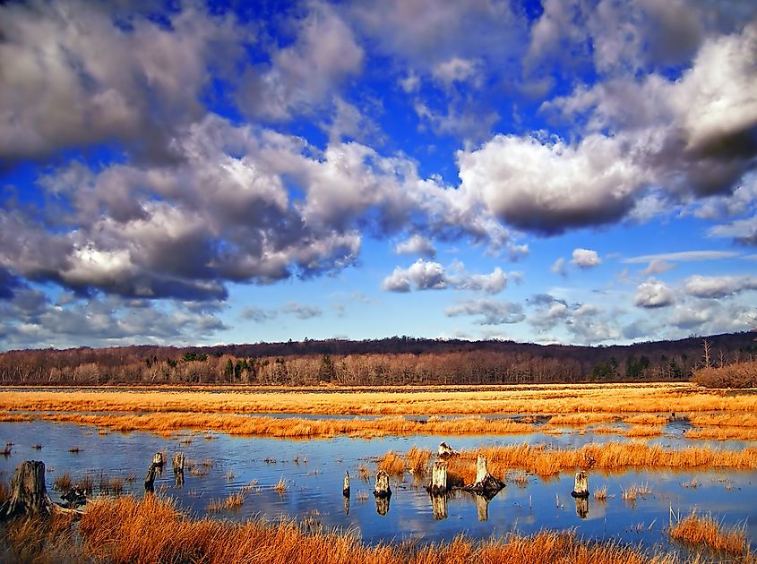 Gouldsboro State Park