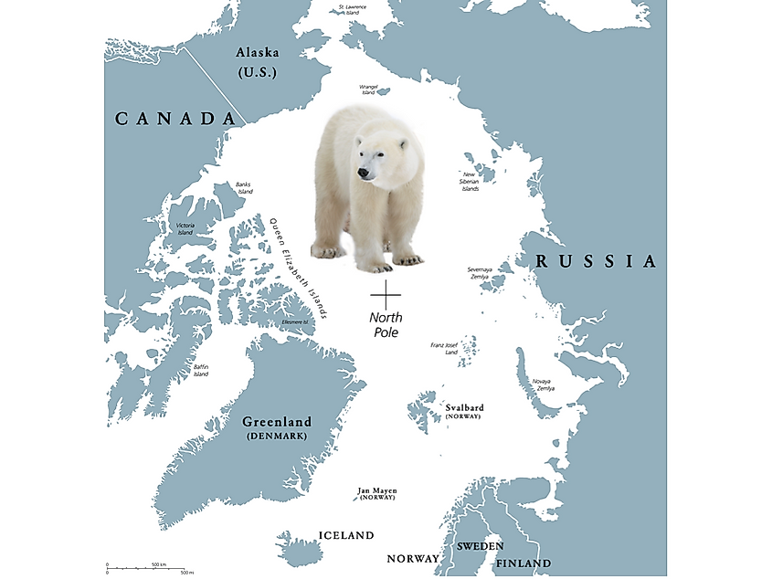 Where do Polar Bears Live. Страна Норвегия белый медведь. Где есть белый медведь на карте. Исландия белый медведь карта. Where bears live