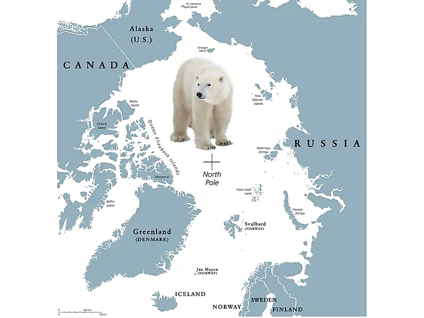 Living in Bear Country