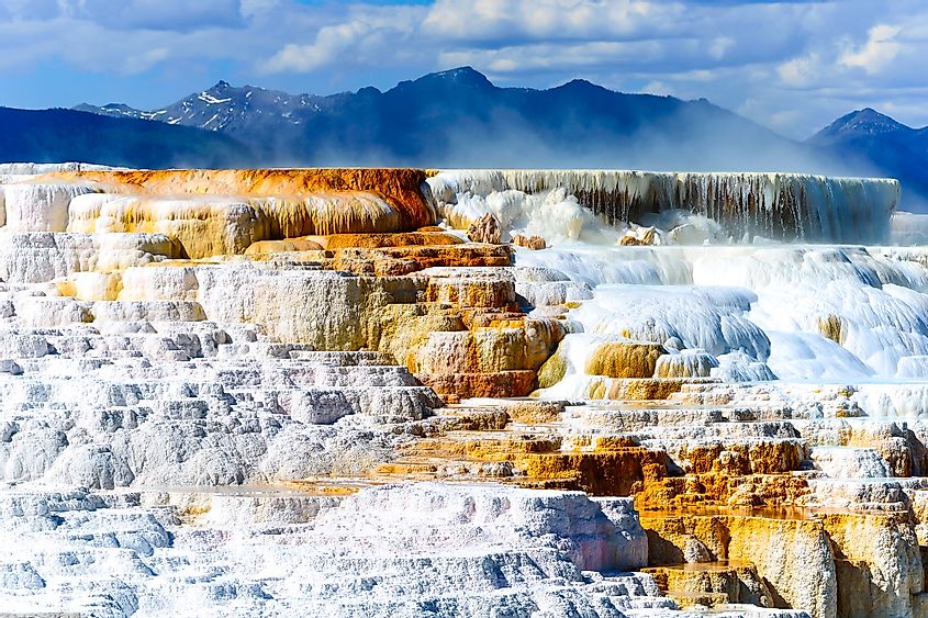 view of Canary Spring and terraces in the Mammoth Hot Spring area of Yellowstone National Park