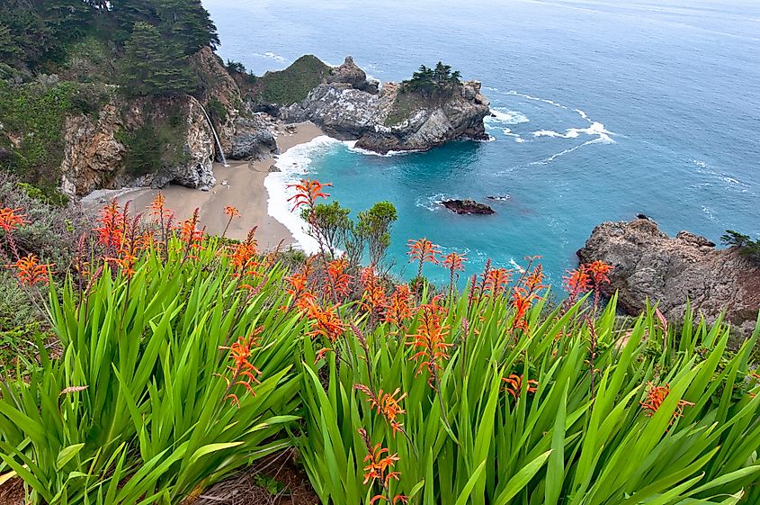 McWay Falls