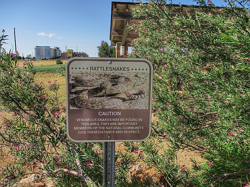 A sign warning of rattlesnakes at a visitor center in the Texas panhandle.