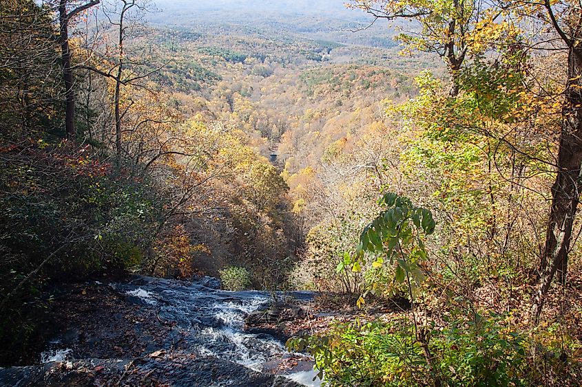 Fall landscape surrounding Amicalola Falls, Georgia.