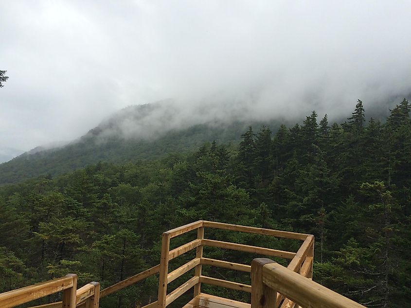 Foggy day at Lost River Gorge and Boulder Caves.