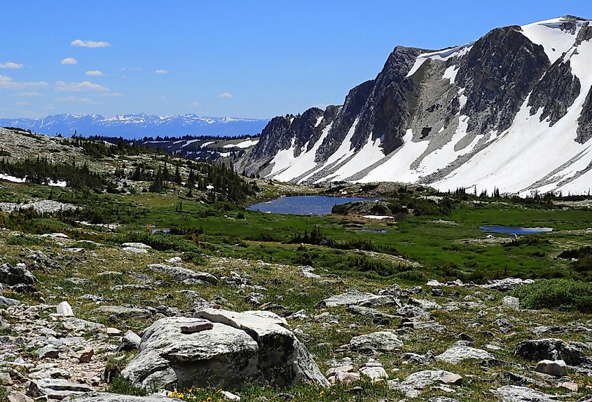 Medicine Bow National Forest in Wyoming.