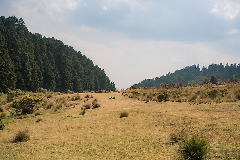Landscape in La Marquesa National Park near Lerma, Mexico.