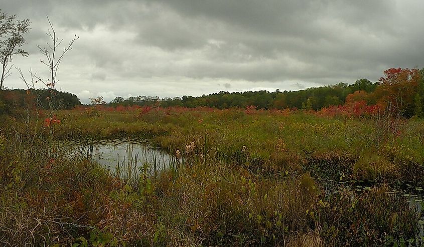 Fall colors at Moosup River, Foster, Rhode Island