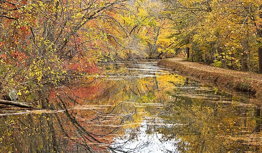 C&O canal in autumn splendor