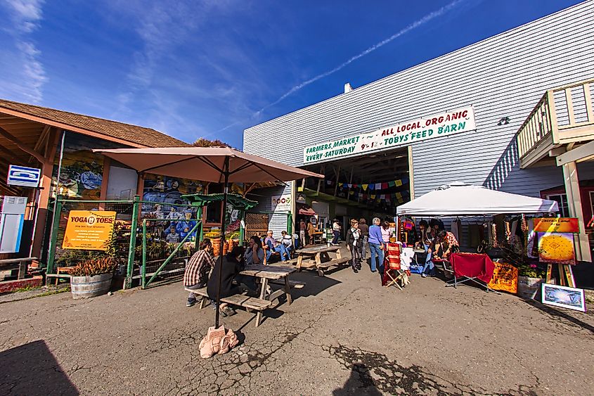 A farmer's market at Point Reyes.