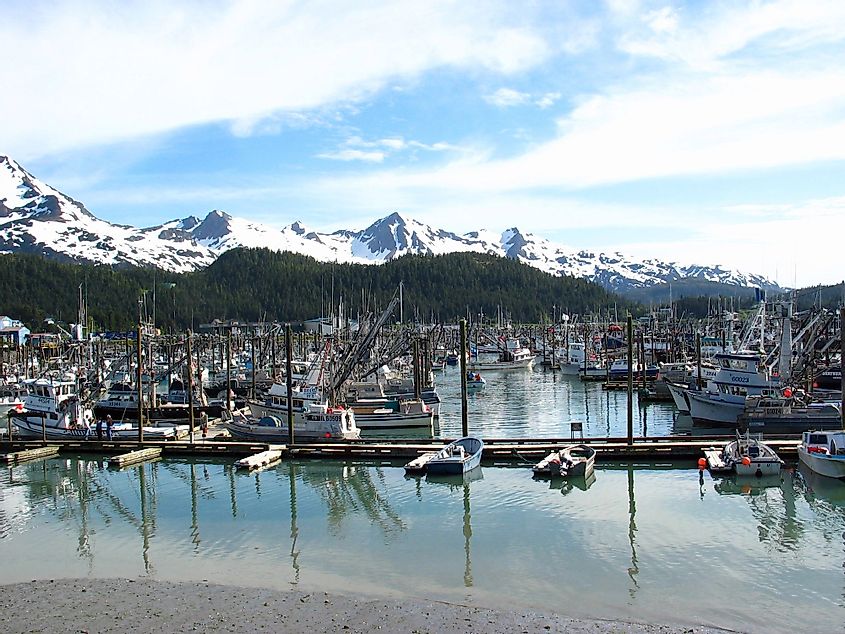 The harbor at Cordova, Alaska.