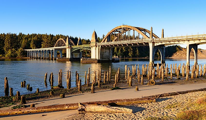  The Siuslaw River bridge in golden morning light at Florence, Oregon