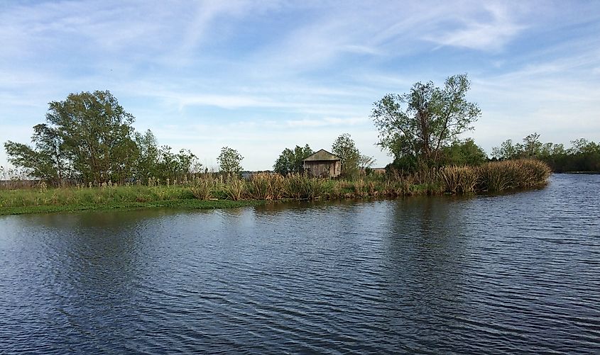 Lac Des Allemands in Louisiana