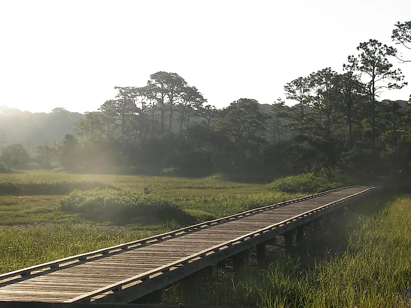 The Marsh Boardwalk at Hunting Island. 