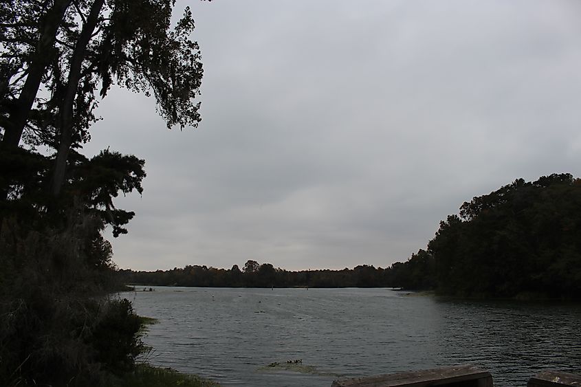 Lake Seminole, Faceville Landing Park, Decatur County, Georgia