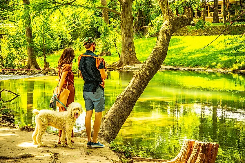 A couple and their dog enjoy the natural beauty of a forested waterway in Wimberley, Texas