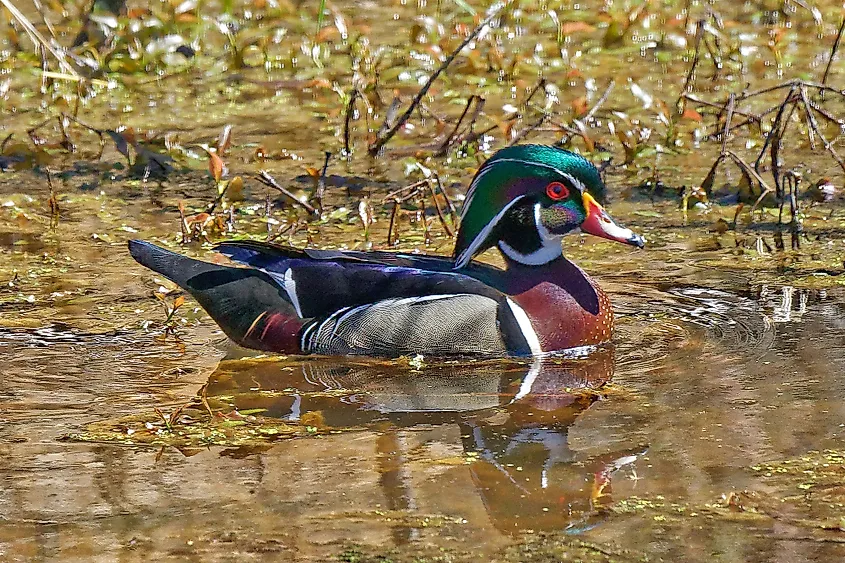 Cuyahoga Valley National Park