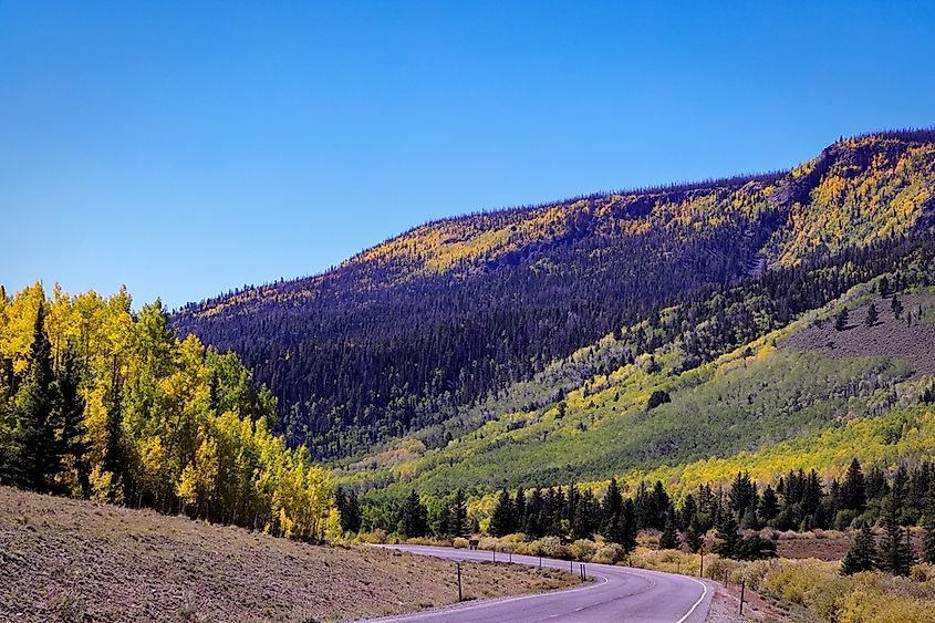 Fall colors near Fish Lake near Richfield Utah