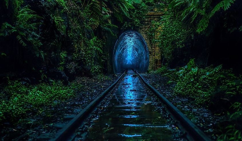 Abandoned Helensburgh rail tunnel with glow worms in the evening