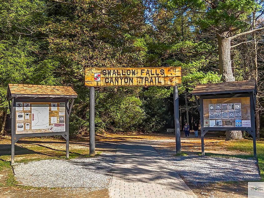Swallow Falls State Park at Canyon Trail located in Oakland Maryland
