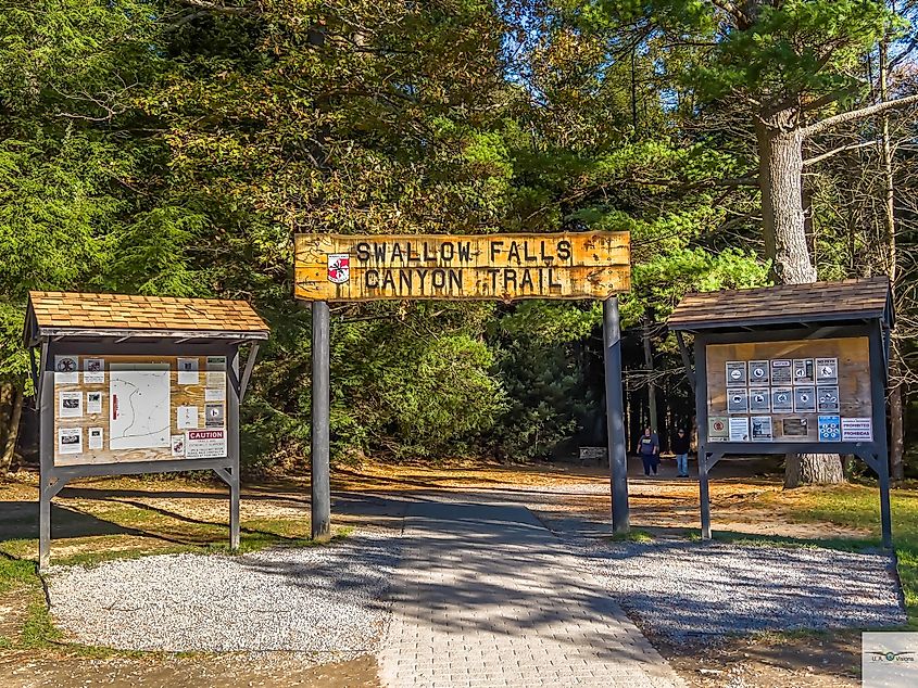 Swallow Falls State Park at Canyon Trail located in Oakland, Maryland.