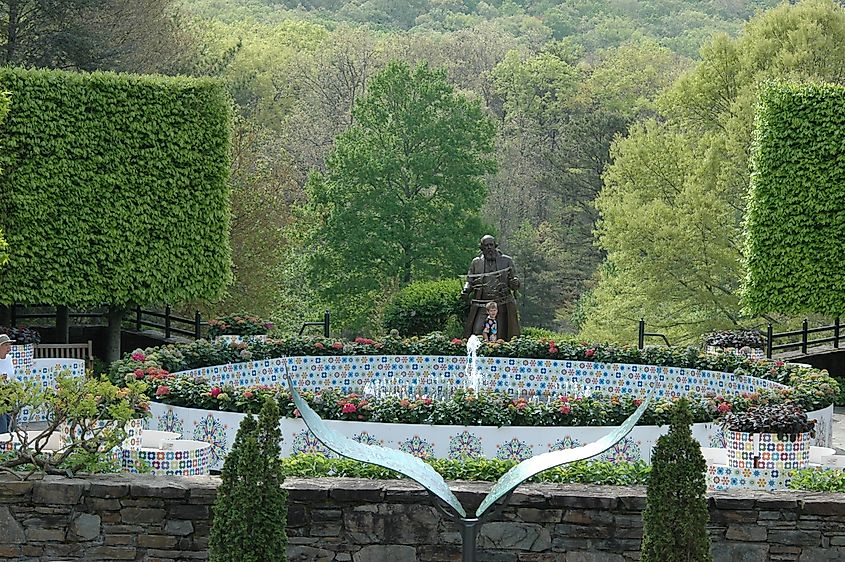 Beautiful Spring Flowers at the Asheville NC Arboretum.