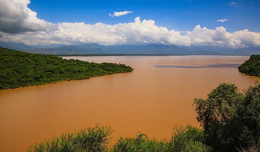 Nechisar National Park (Arba Minch, Ethiopia), Lake Abaya