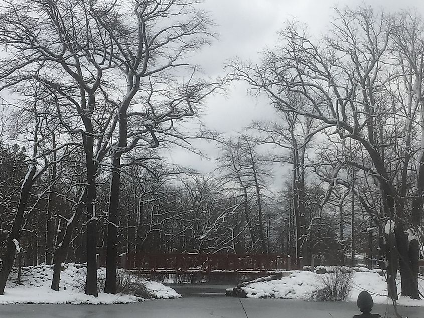 Winter scene of a snow covered bridge and trees In black and white in Bradford, Massachusetts